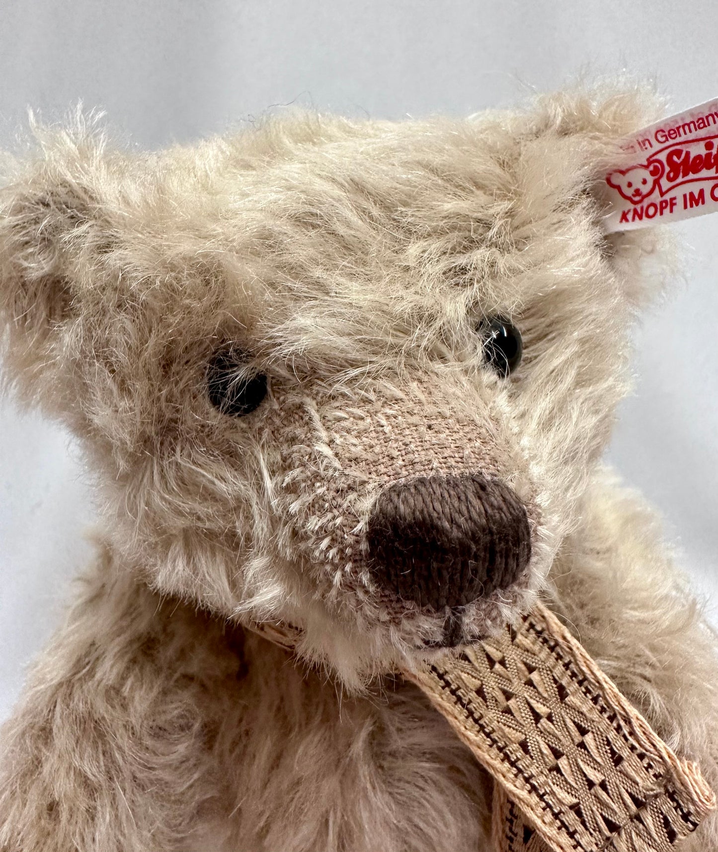 Steiff Niccolo Teddy Bear