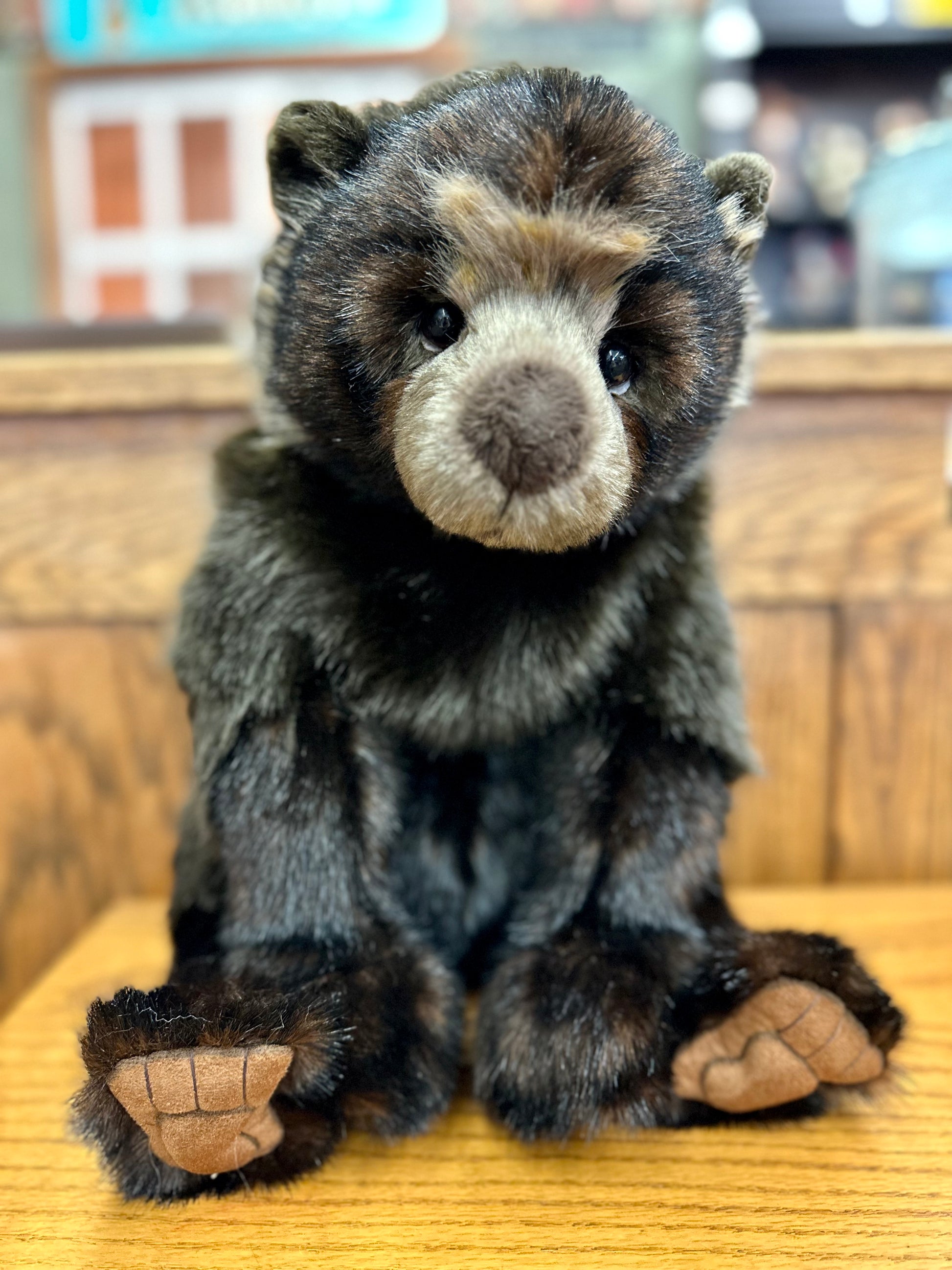 2023 Charlie Bear Cave brown bear stuffed animal plush